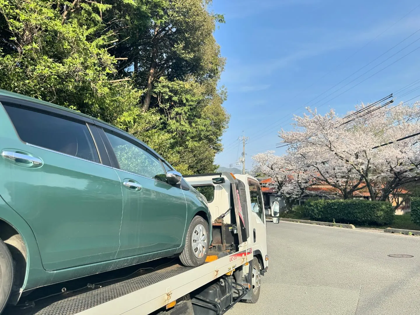 長門まで引取に行った際サクラが綺麗だったのでお写真撮らせて貰...