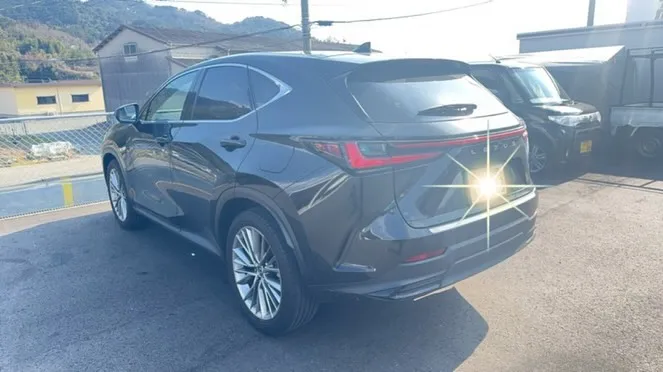 R5年NX250バージョンL買取させていただきました😊