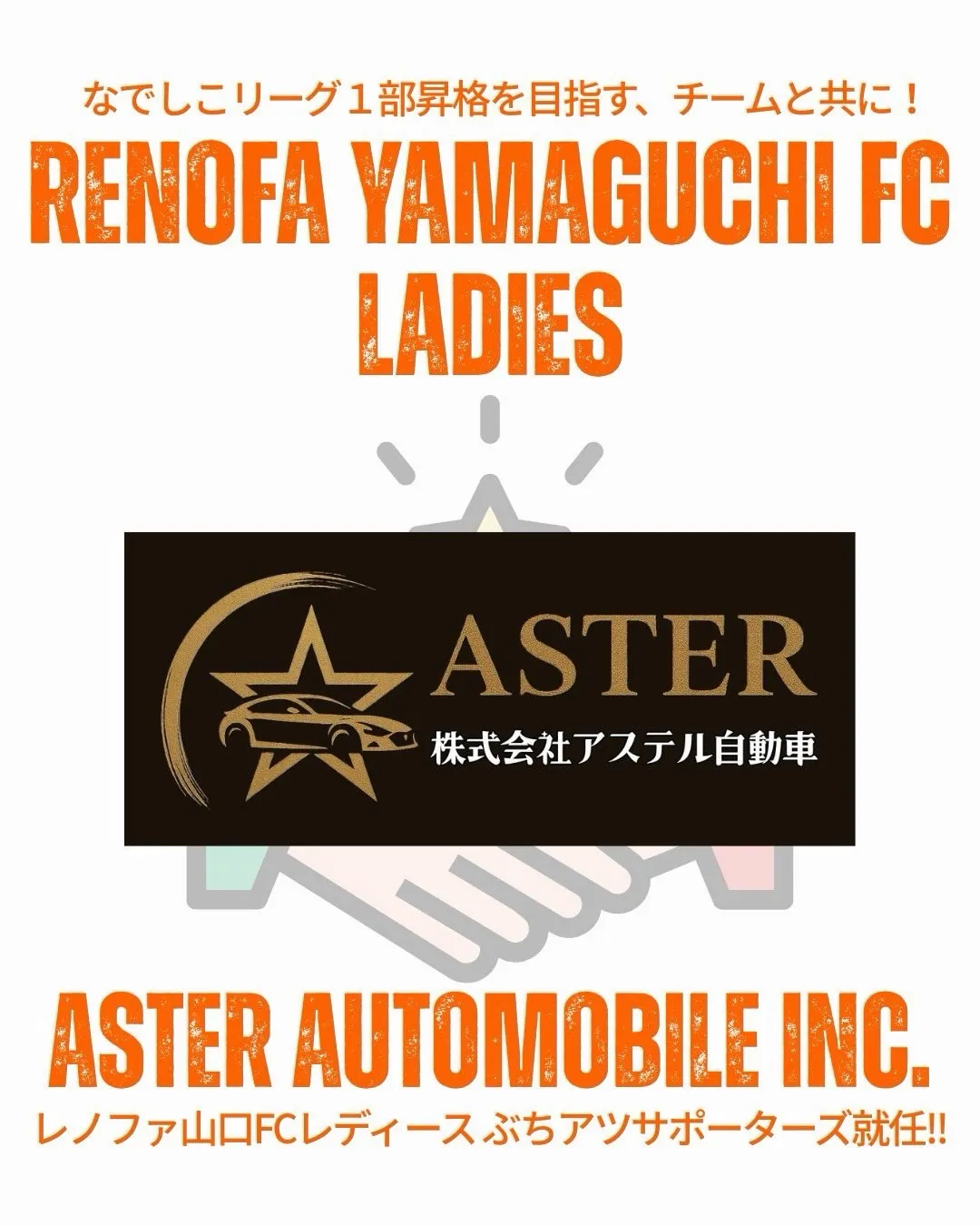 🦁⚽️✨